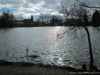 /album/fotogaleria/vision-de-ensue%c3%b1o-jpg/